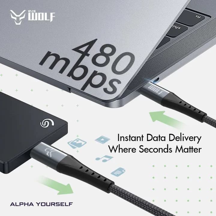 Asta WOLF Hyper Type C To C 120 Watt 1M Braided Fast Charging Data Cable view 4