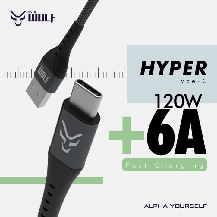 Asta WOLF Hyper Type USB To C 120 Watt 1M Braided Fast Charging Data Cable view 4