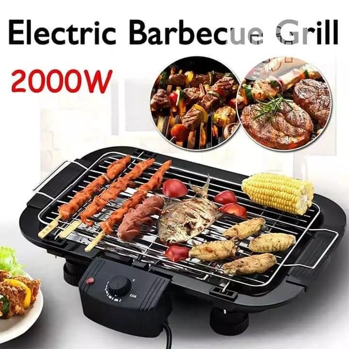 Electric Barbecue Grill And Barbecue Toaster