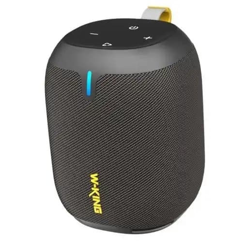 W King D120 True Wireless Bluetooth Speaker With Powerful Sound & Super Heavy Bass