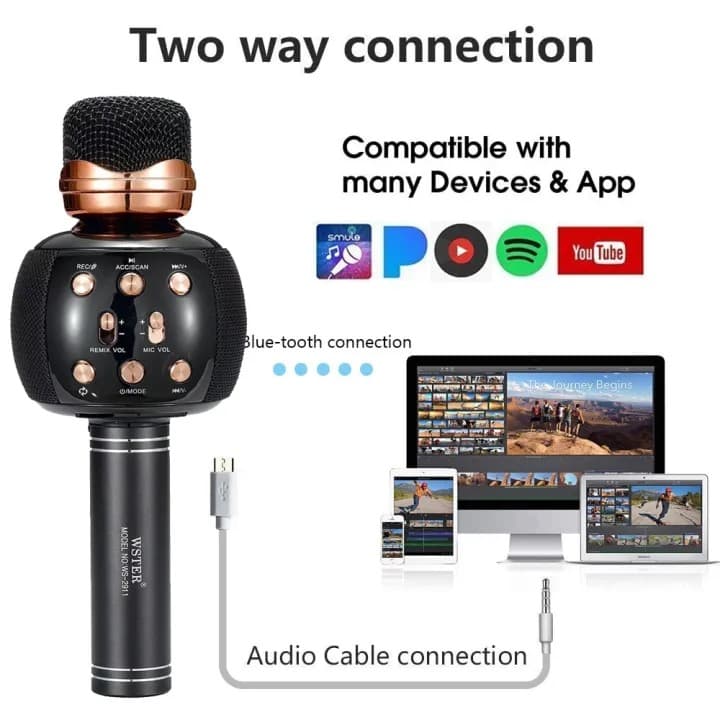 WSTER WS 2911 Bluetooth Speaker Wireless Karaoke Microphone Support USB TF Card FM Radio view 2