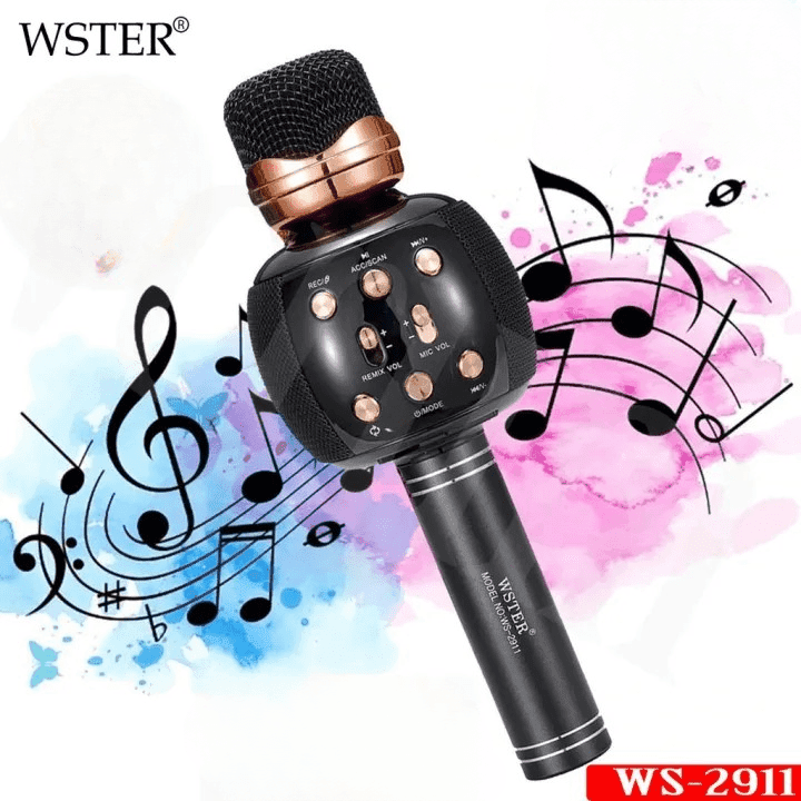 WSTER WS 2911 Bluetooth Speaker Wireless Karaoke Microphone Support USB TF Card FM Radio